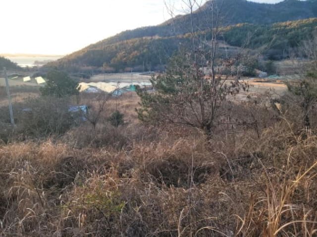 B000513202601300500814.jpg