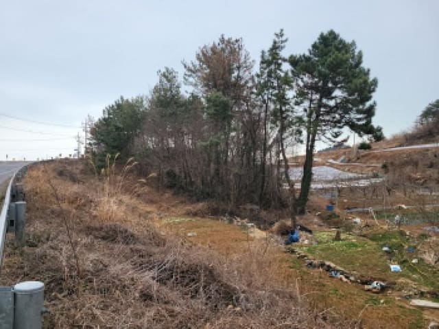 B000513202601300500992.jpg