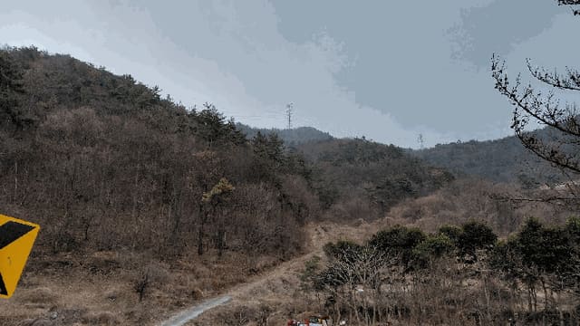 B000513202601300501114.jpg