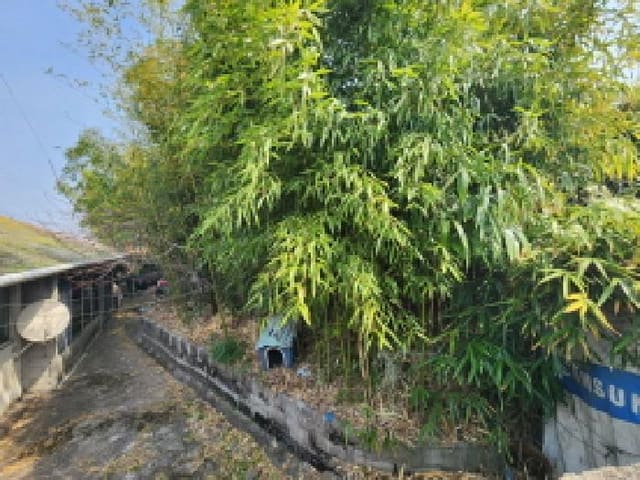 B000513202601300501334.jpg