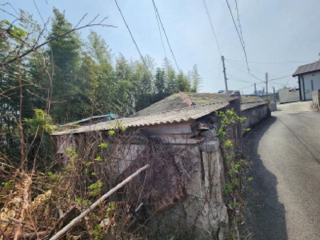B000513202601300501333.jpg