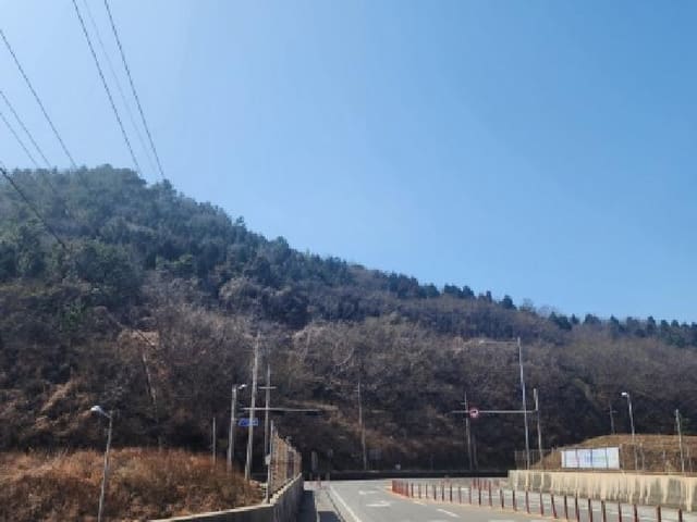 B000513202601300501862.jpg