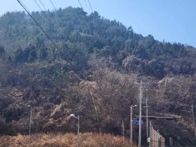 B000513202601300501864.jpg