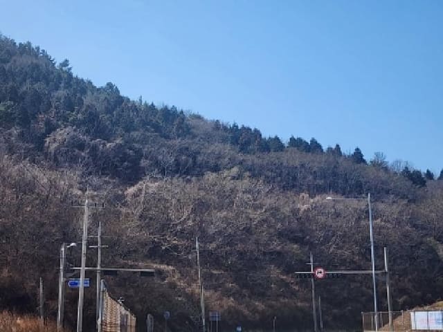 B000513202601300501863.jpg
