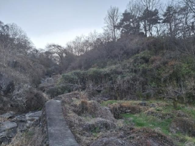 B000513202601300502574.jpg