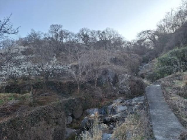 B000513202601300502572.jpg