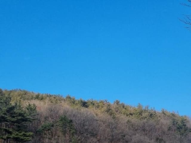 B000513202601300502761.jpg