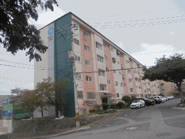 B000513202601300503164.jpg