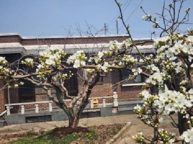 B000513202601300503492.jpg