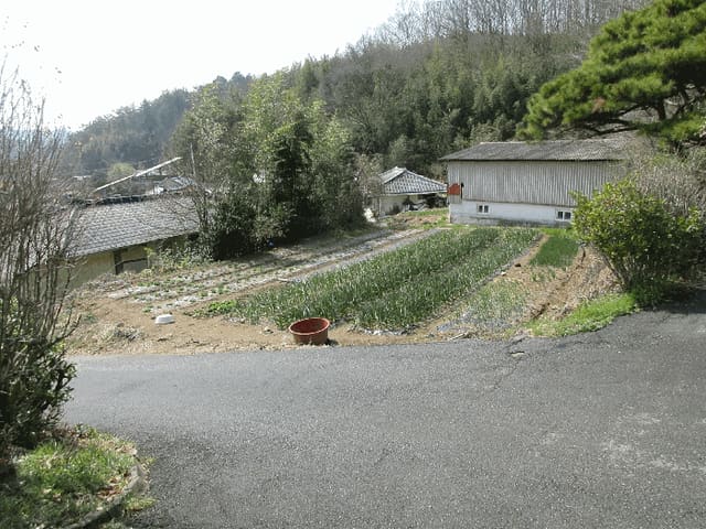 B000513202601300503533.jpg