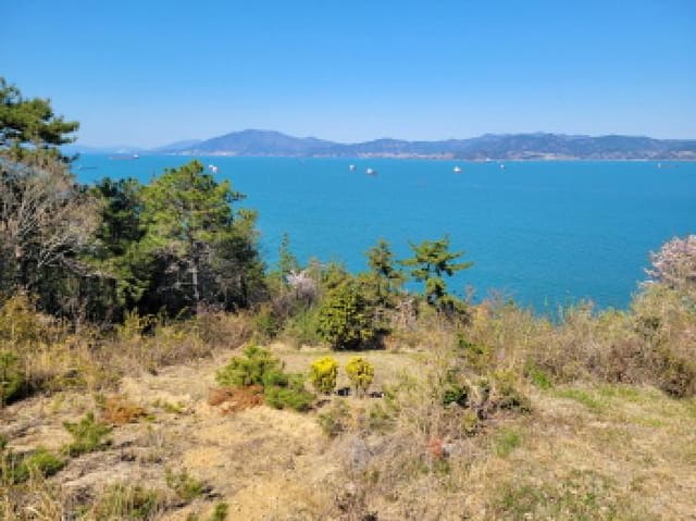 B000513202601300503944.jpg