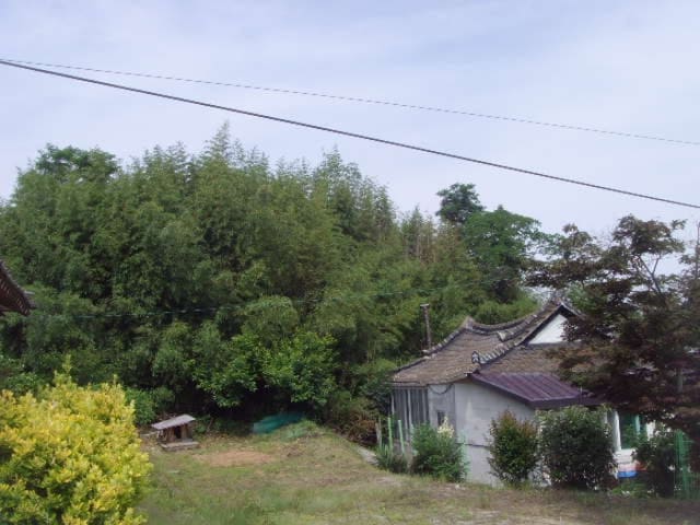 B000514202301300523311.jpg