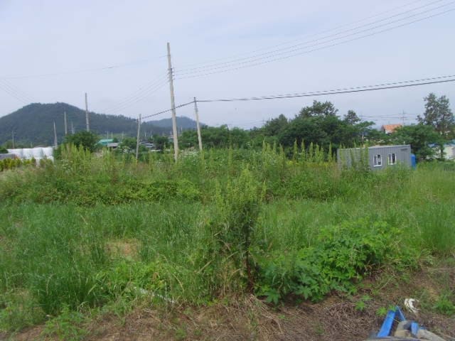 B000514202301300523314.jpg
