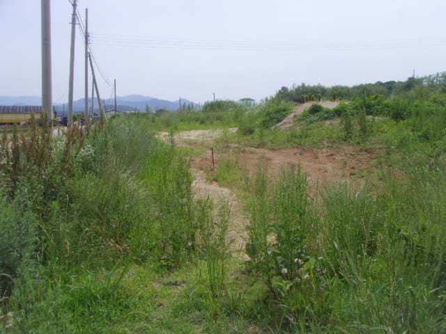 B000514202301300523313.jpg