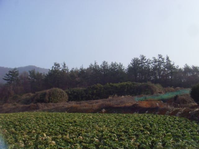 B000514202401300005591.jpg