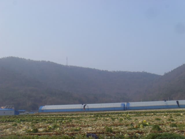 B000514202401300005594.jpg
