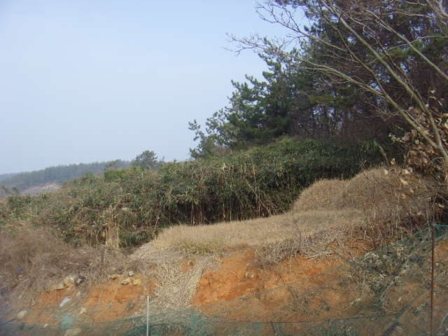 B000514202401300005592.jpg