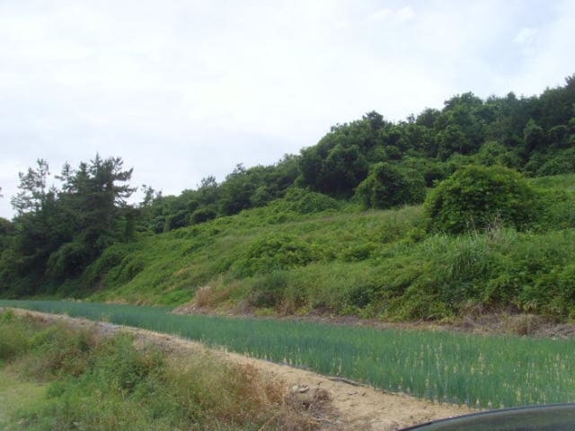 B000514202401300013231.jpg