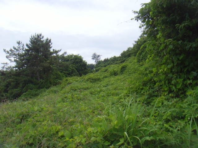 B000514202401300013234.jpg