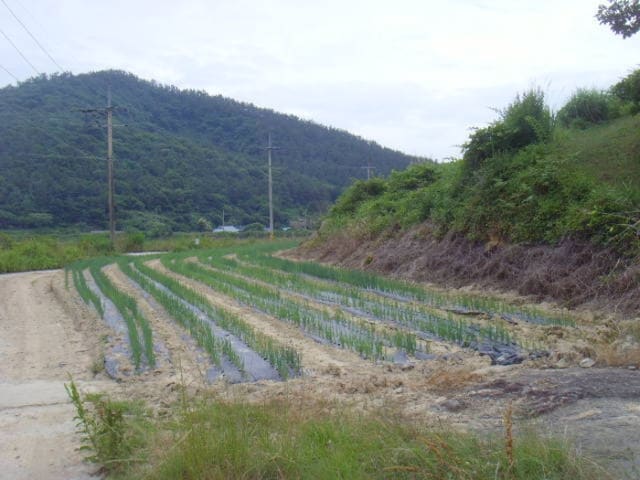 B000514202401300013232.jpg