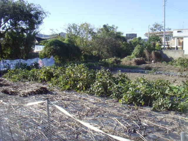 B000514202401300020981.jpg