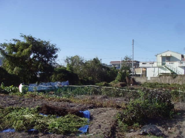 B000514202401300020982.jpg