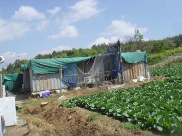 B000514202401300516182.jpg
