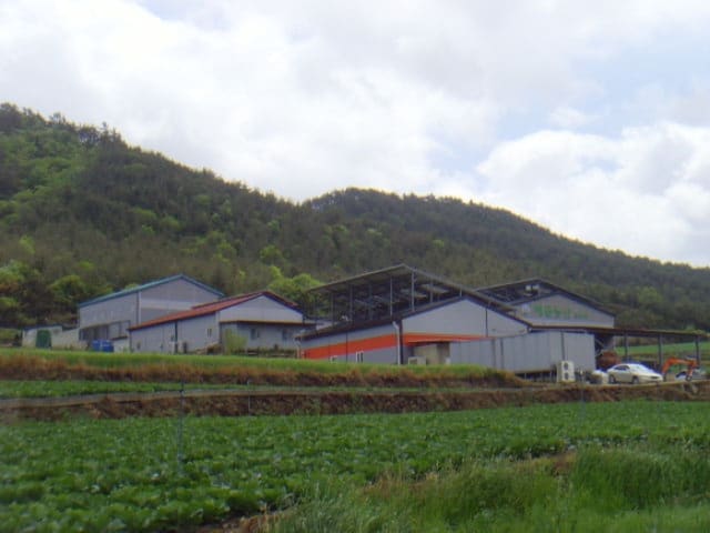 B000514202401300516184.jpg