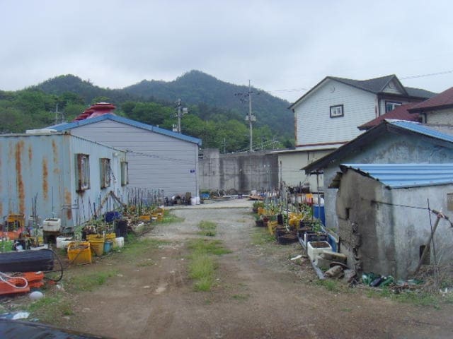 B000514202401300516941.jpg