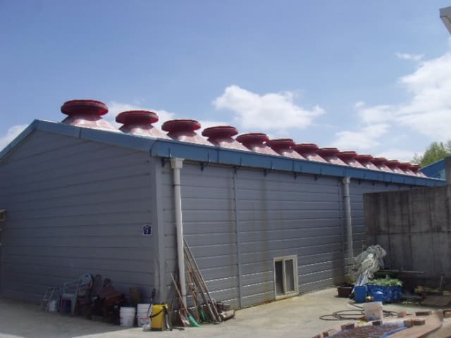 B000514202401300516942.jpg