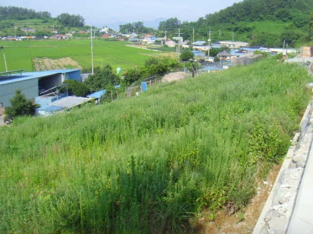 B000514202401300535531.jpg