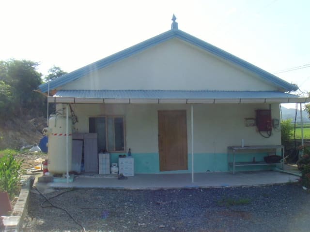 B000514202401300535533.jpg