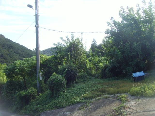B000514202401300540682.jpg