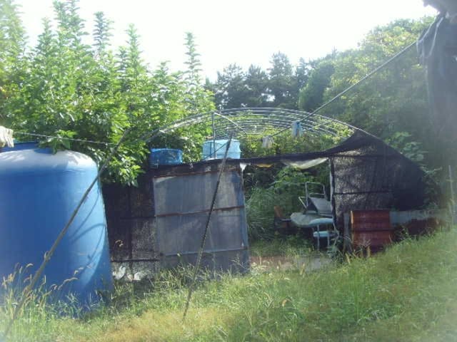 B000514202401300540683.jpg