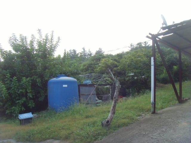 B000514202401300540681.jpg