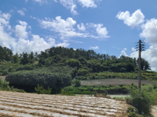 B000514202401300541122.jpg