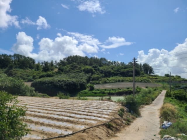 B000514202401300541121.jpg