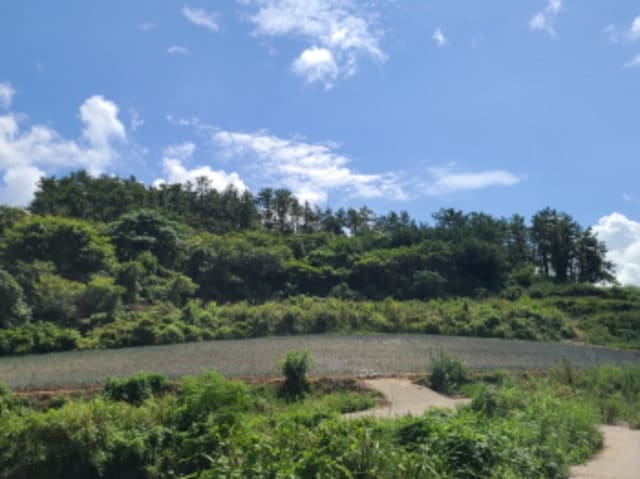 B000514202401300541123.jpg