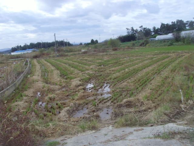 B000514202401300545321.jpg