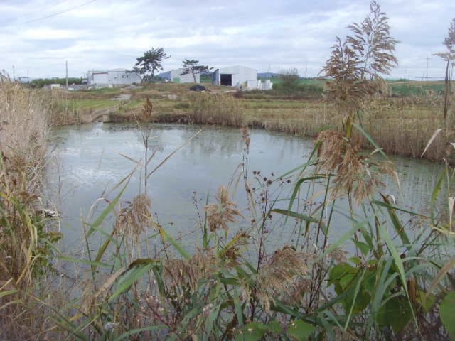 B000514202401300545323.jpg