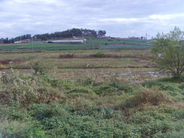 B000514202401300545322.jpg
