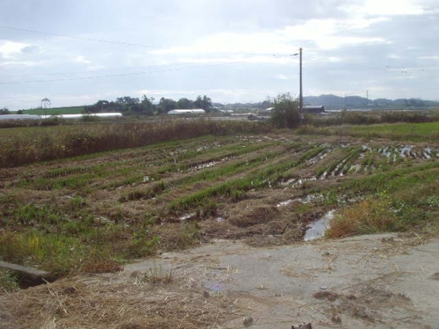B000514202401300545324.jpg