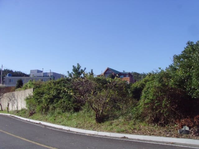 B000514202401300545633.jpg