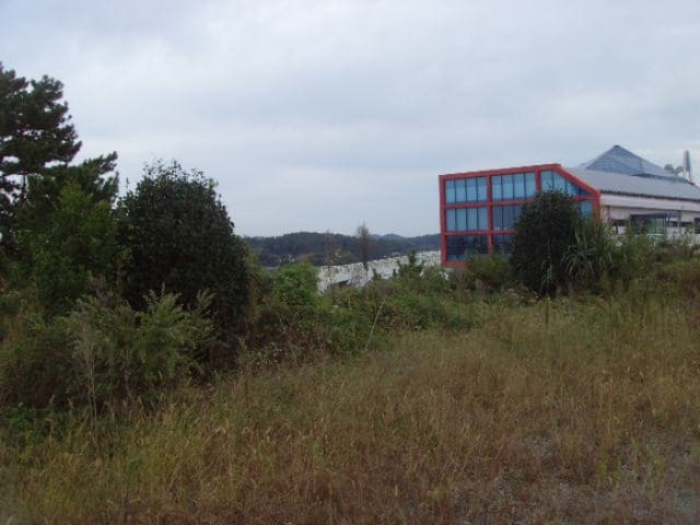 B000514202401300545634.jpg