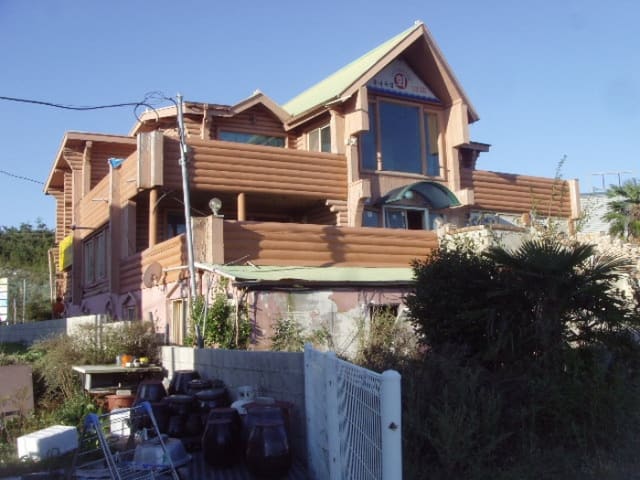 B000514202401300545632.jpg