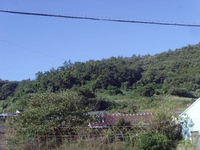 B000514202401300546481.jpg
