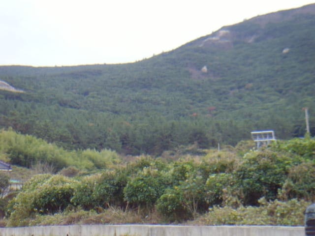 B000514202401300551842.jpg