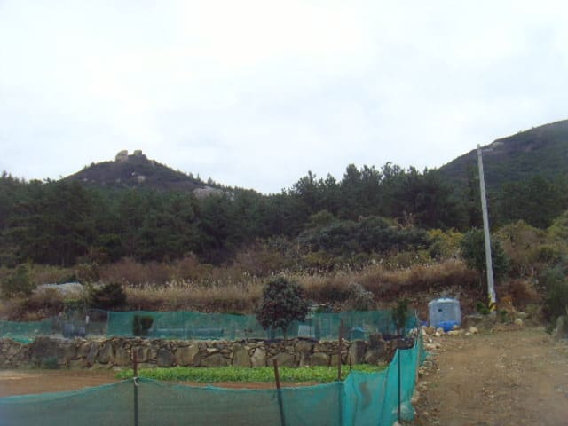 B000514202401300551844.jpg