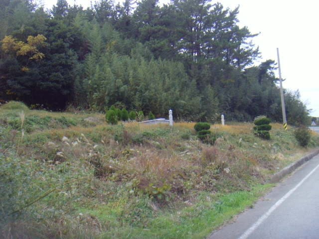 B000514202401300551841.jpg