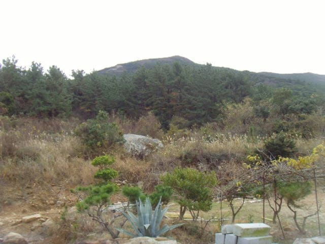 B000514202401300551843.jpg